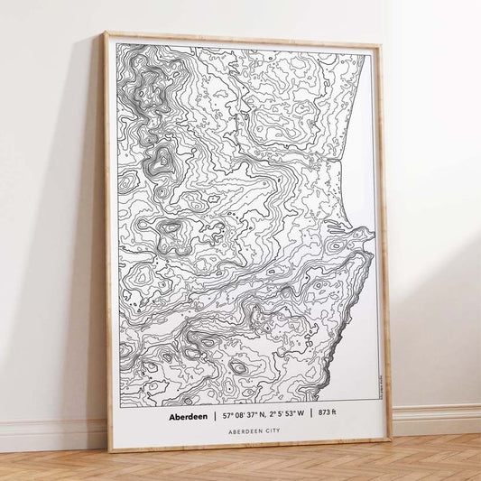 Aberdeen Linear Topography Map Print