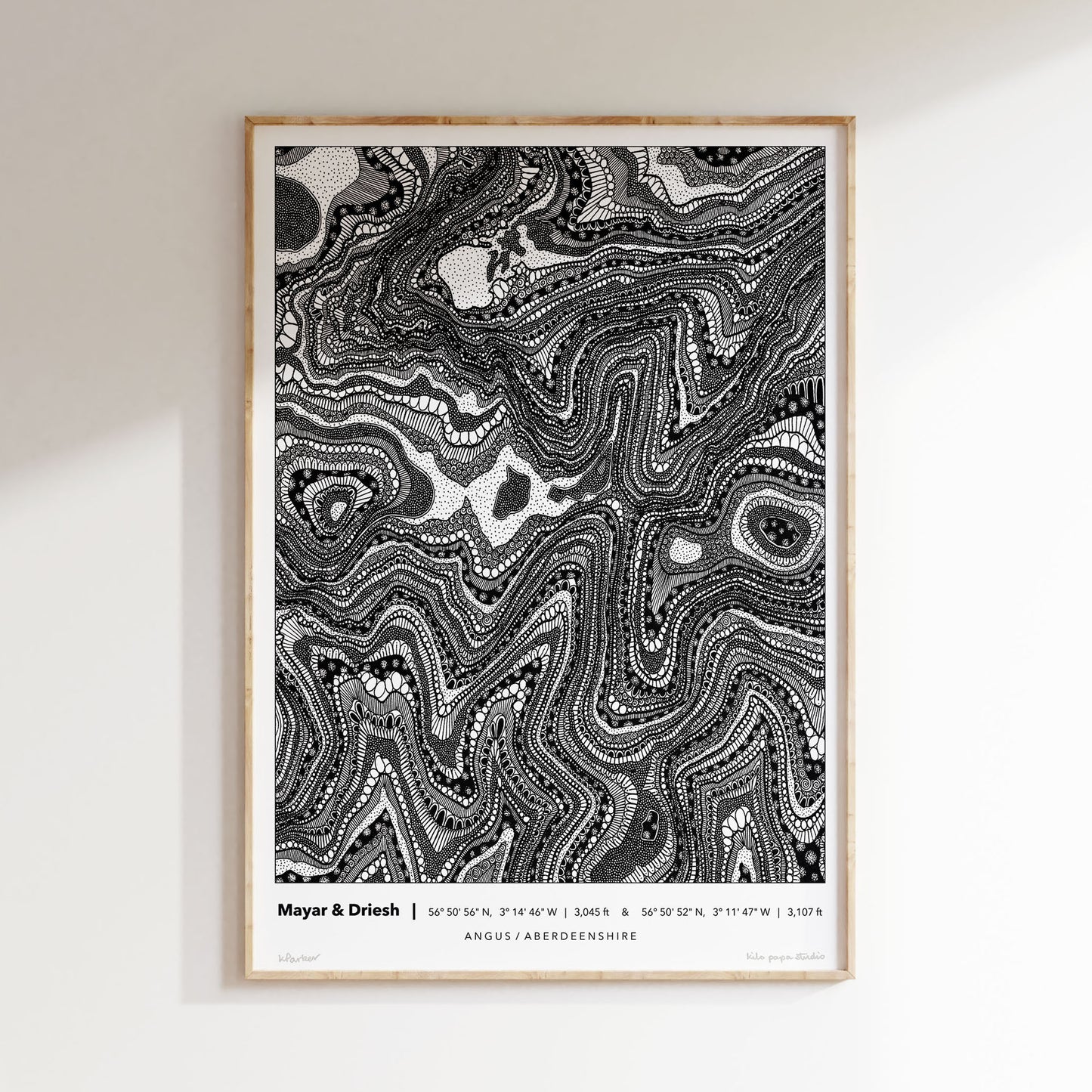 Mayar & Driesh Topography Map Print