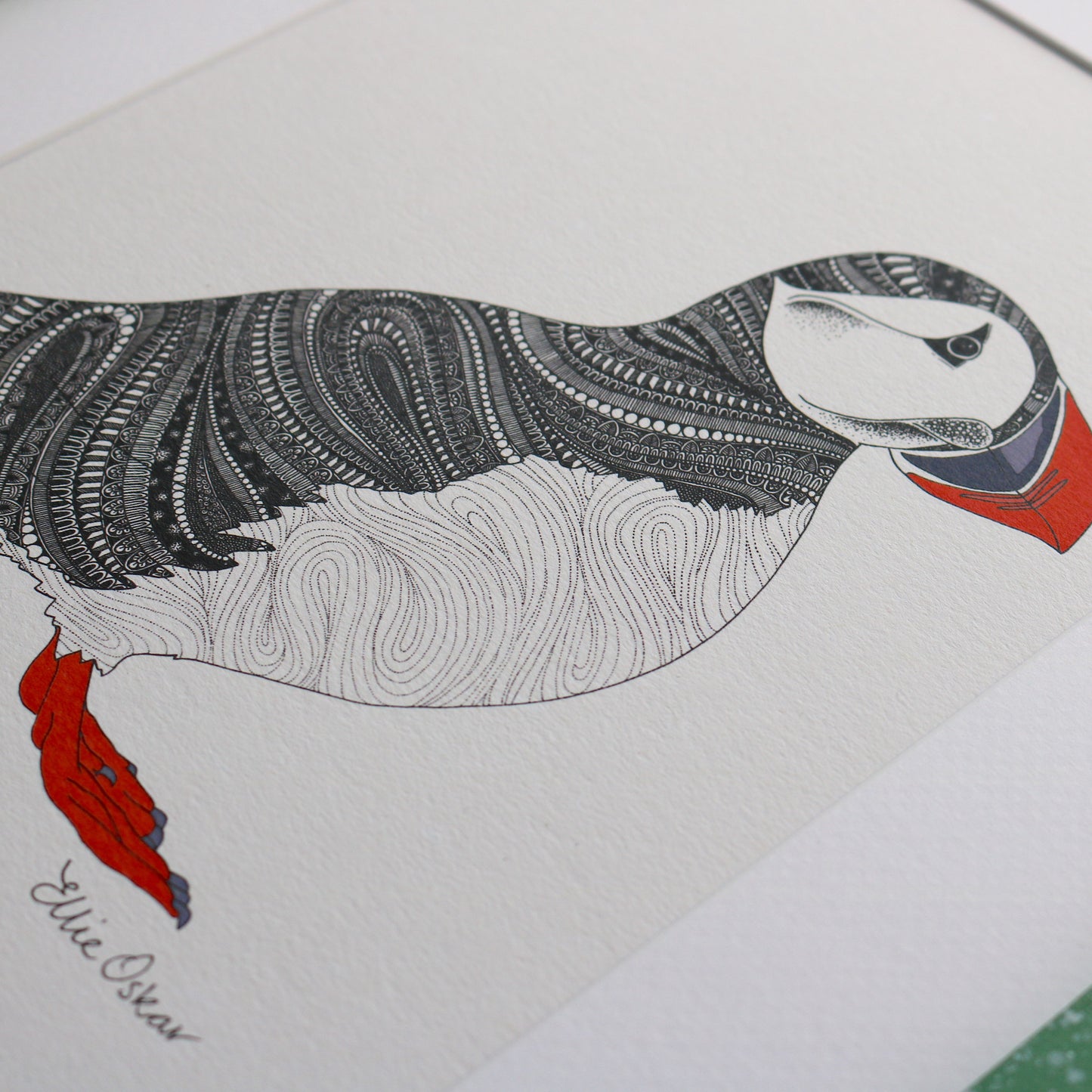 Puffin Print