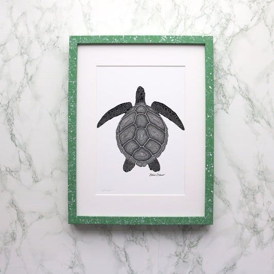 Sea Turtle Print