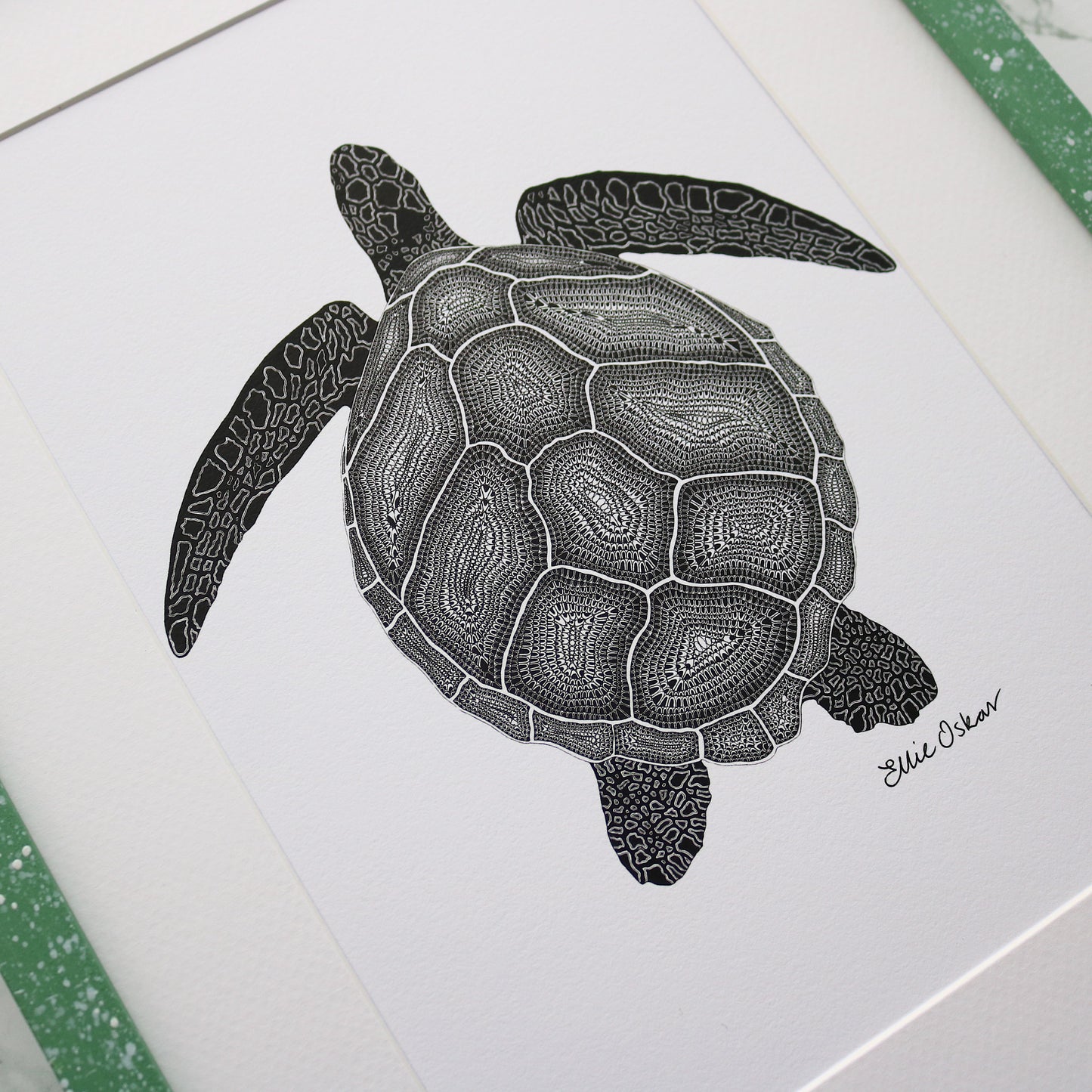 Sea Turtle Print