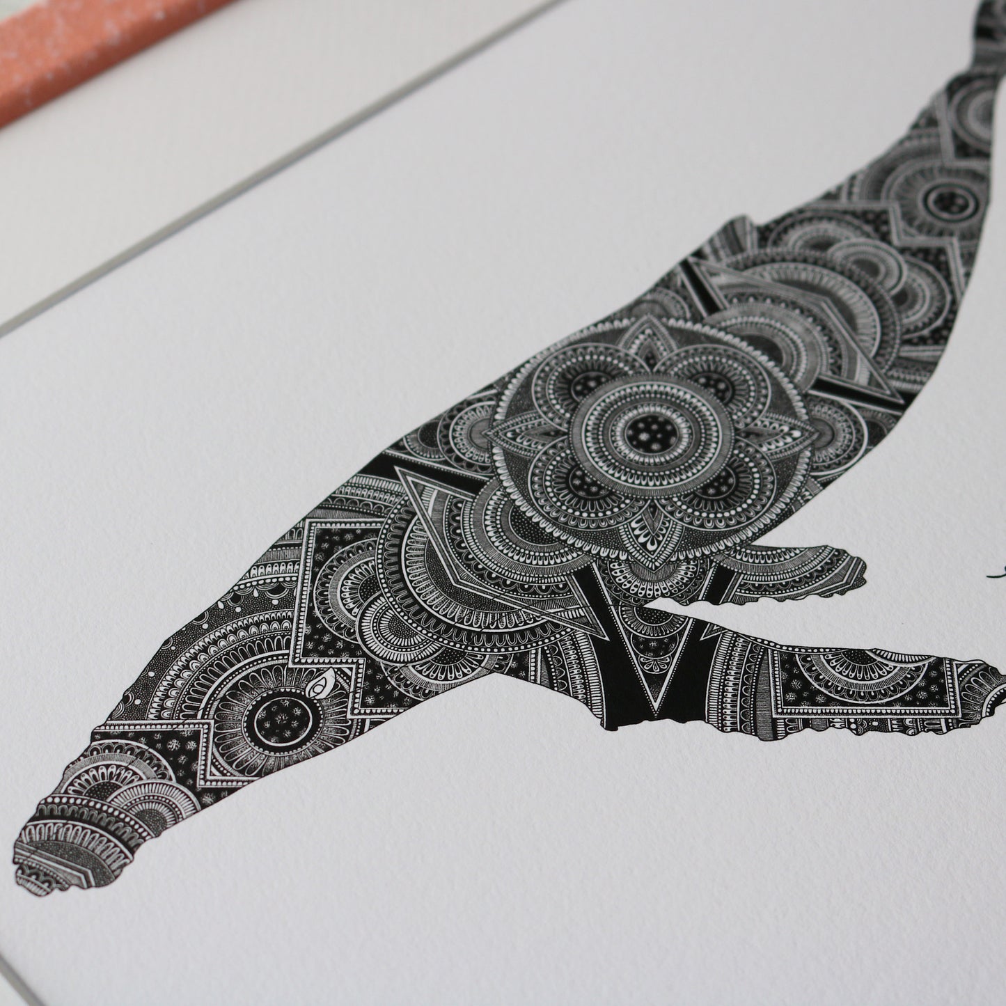 Humpback Whale Print