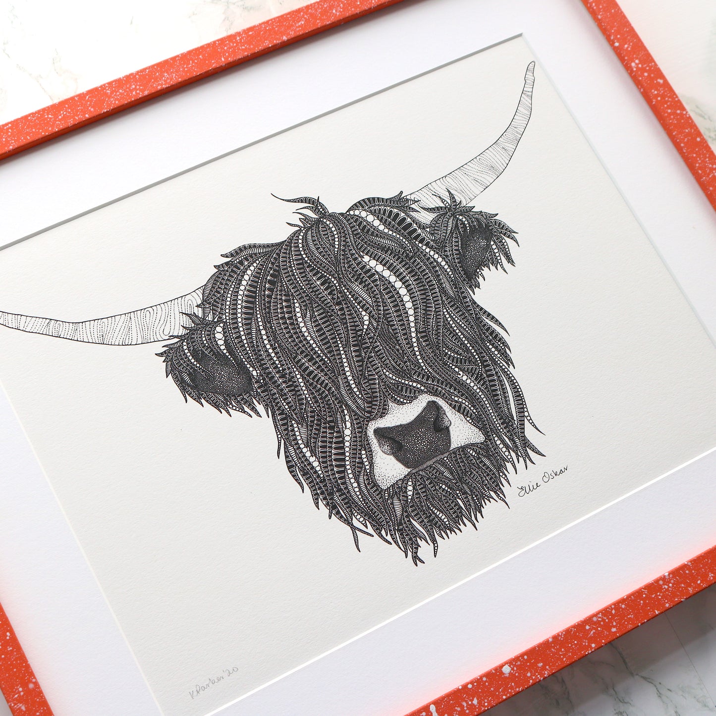 Highland Cow Print