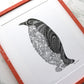 Emperor Penguin Print